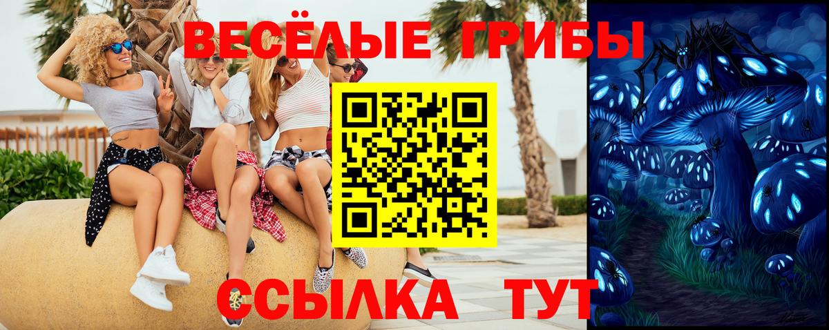 Псилоцибиновые грибы Psilocybine cubensis  Галлюциногенные грибы мухоморы  Вход с VPN  Выкса 